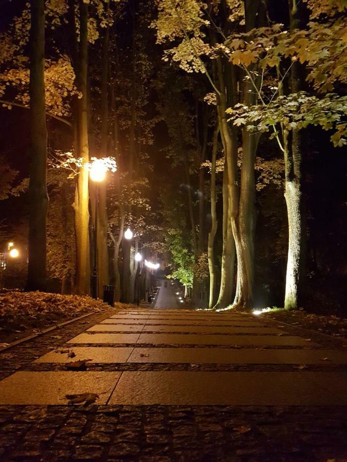 Apartament Z Ogrodem ポラニツァ・ズドゥルイ エクステリア 写真